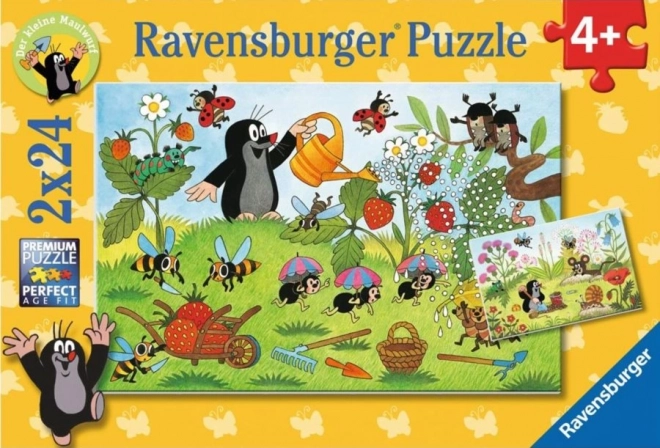 Dėlionė RAVENSBURGER Kurmis sode 2×24 dalys