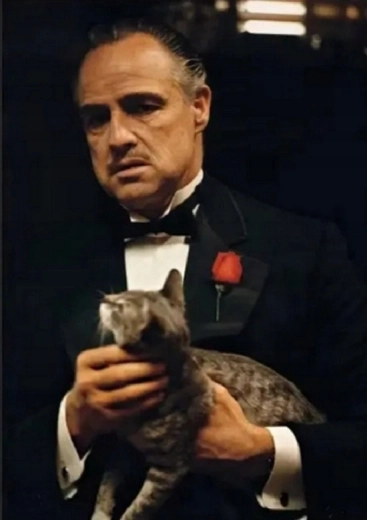Norimpex Paint by Numbers The Godfather with a Cat 40 × 50 cm