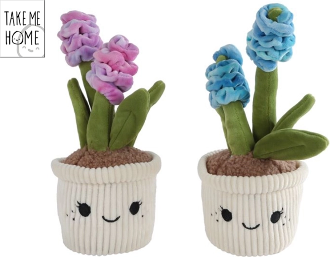 Pliušinis hiacintas Take Me Home 26,5 cm