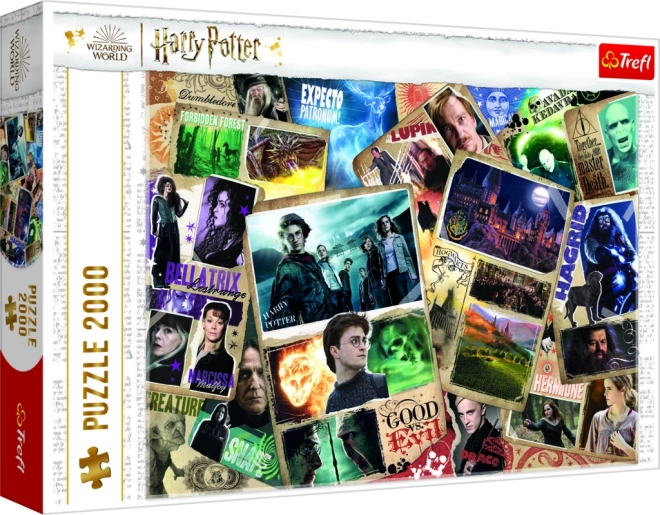 Dėlionė 2000 detalių Harry Potter herojai
