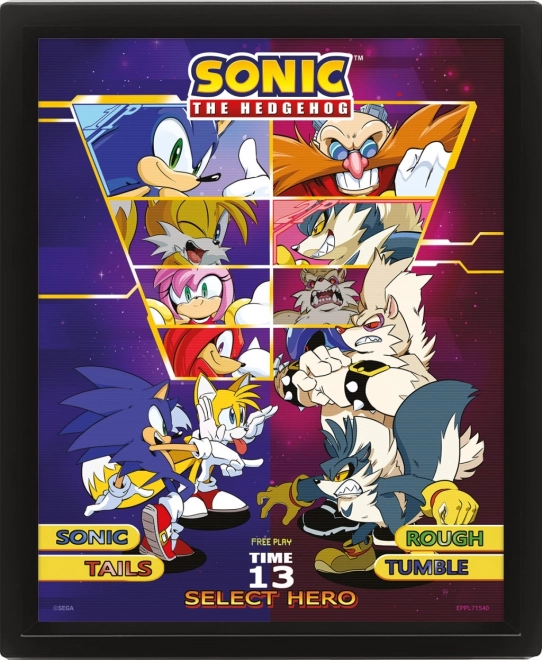 3D Picture Sonic: Choose Your Fighter