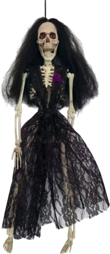 Party accessory skeleton in a dress
