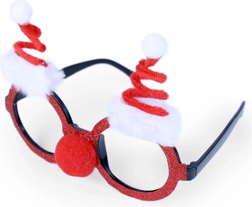 Santa Claus Christmas Glasses