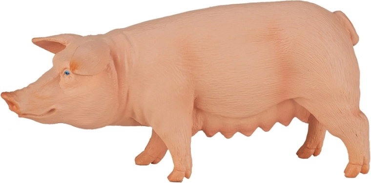 Patvari konstrukcija