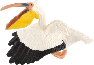 Puikiai tinka mokymuisi ir kolekcionavimui