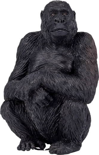 Saugus, be ftalatų esantis medžiagiškumas