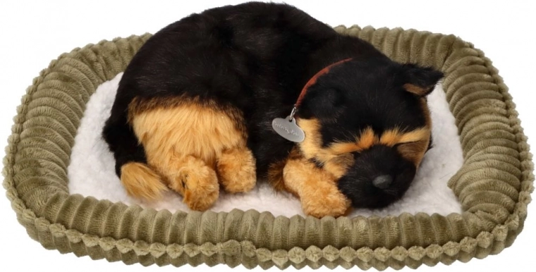 Realistiškas kvėpavimas ir ramus miegas