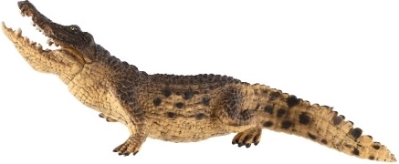 Puikiai tinka mokymuisi ir kolekcionavimui