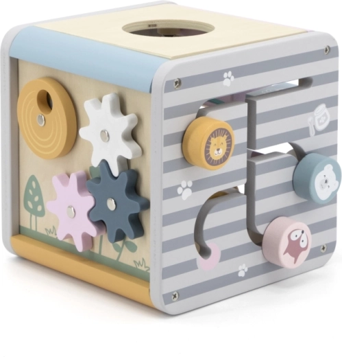 5 ugdomosios veiklos viename