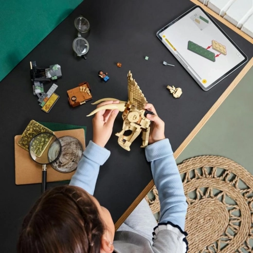 Interaktyvus rinkinys