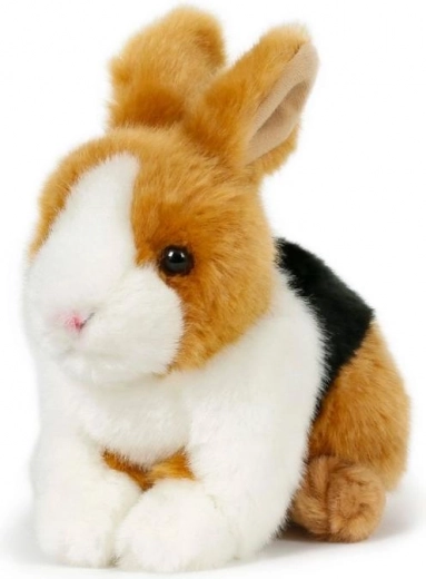 Švelnus pliušas švelniausiam glostymui