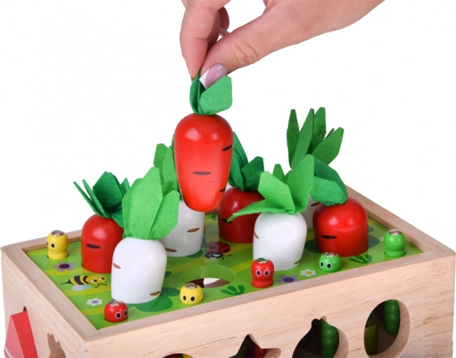 Morkų ir ridikėlių derlius su veltinio lapeliais