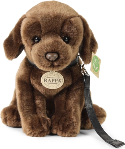 Realistiškas ir patrauklus dizainas