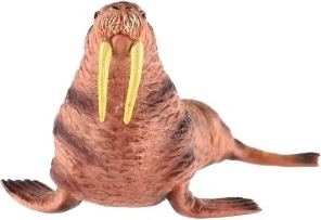 Idealu kolekcijoms ir edukacijai