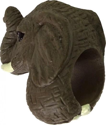 Realistic elephant head