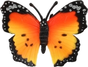 Tikros spalvos ir sparnų raštas