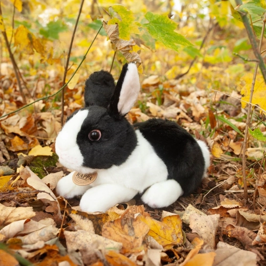 Soft and Tender Plush