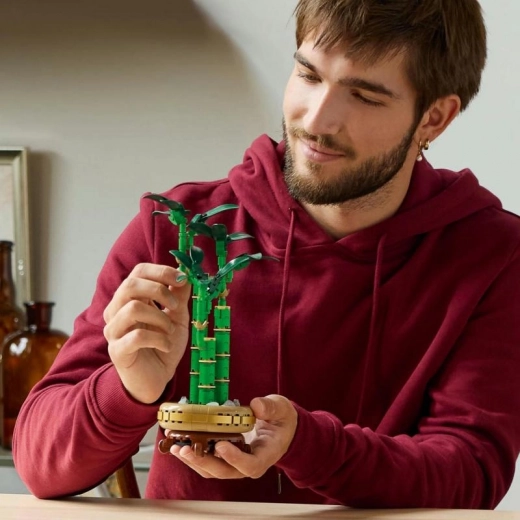 Raminantis konstravimas suaugusiesiems