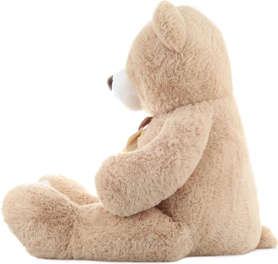 Mielas dizainas su kaspinu