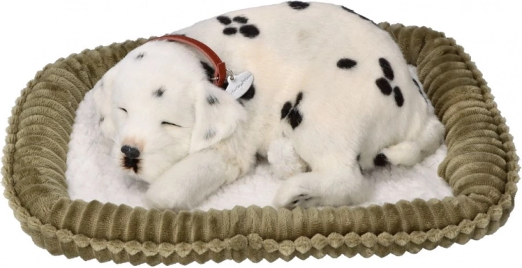 Minkštutis guolis maksimaliam patogumui