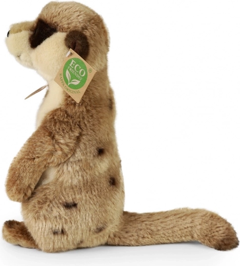 Ekologiškas požiūris