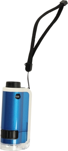 Pramoga ir mokslas viename