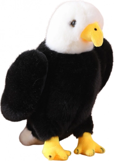 Realistic eagle look