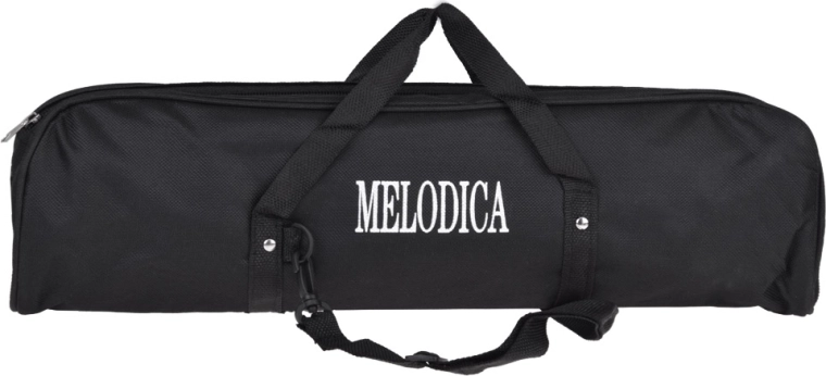 Dėklas saugiam nešiojimui