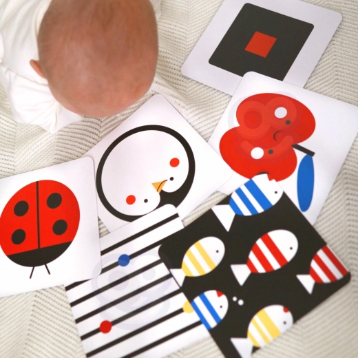 Double-sided Contrast Cards