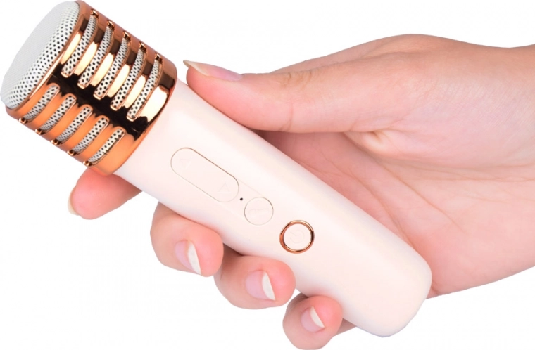 Karaokė su draugais