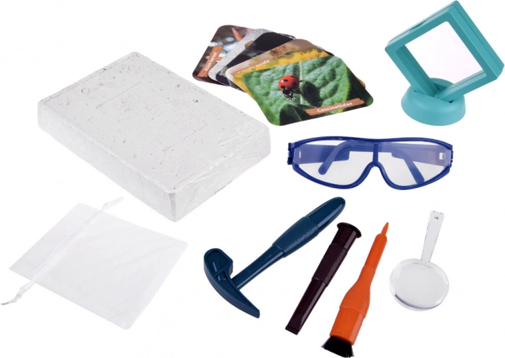 Tikroviška kasinėjimų patirtis