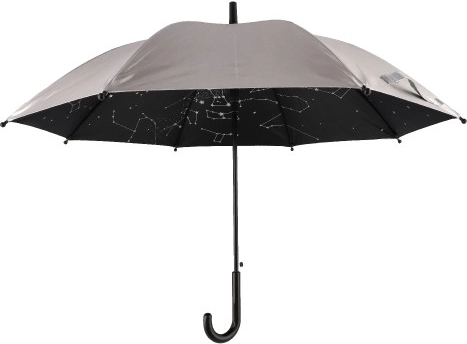 Unikalus žvaigždėtas dangus