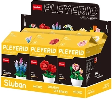 Suderinamumas su kitais konstruktoriais