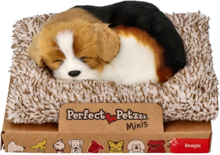 Realistiškas miegantis biglis