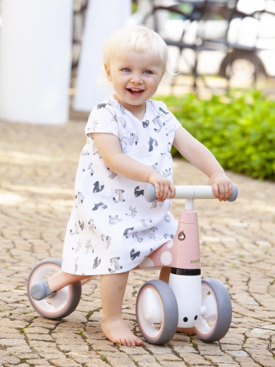 Gražus flamingo motyvas