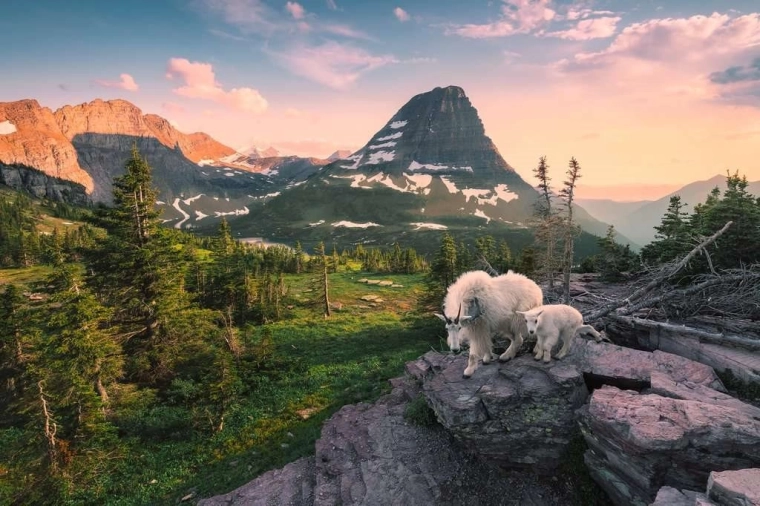 Striking Alpine mountain motif