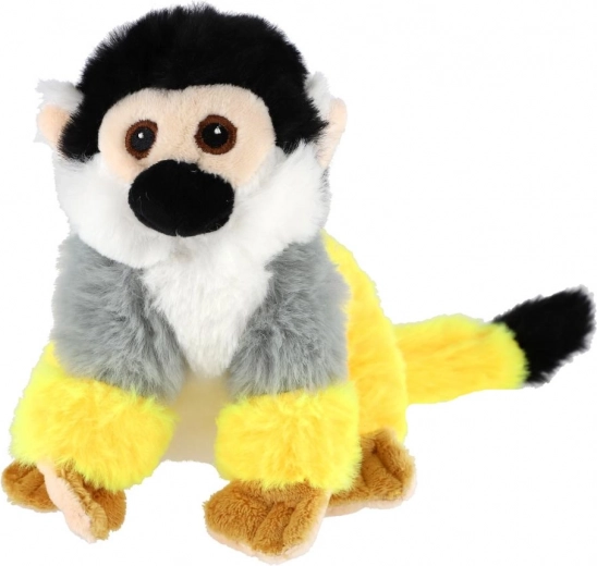 Realistiškos marmozeto detalės