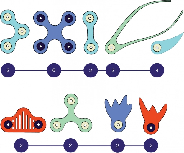 Lankstytos formos ir stiprūs magnetai