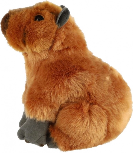 Saugus pasirinkimas nuo gimimo