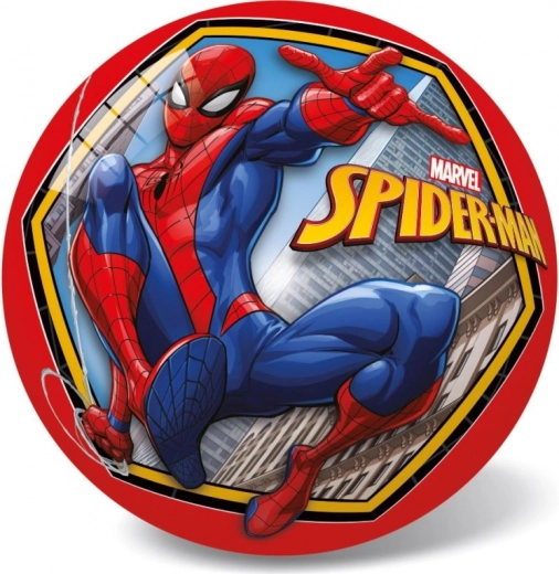 Oficialus SPIDER-MAN motyvas