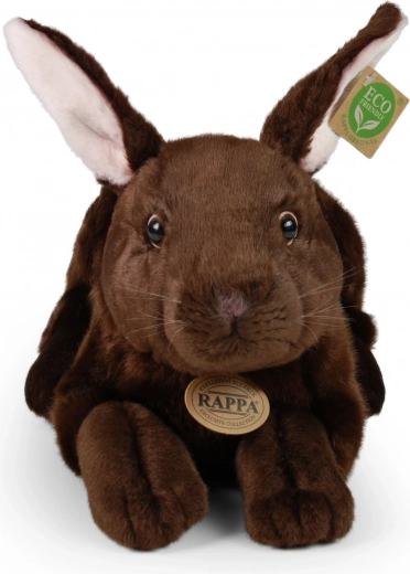 ECO-FRIENDLY užpildas