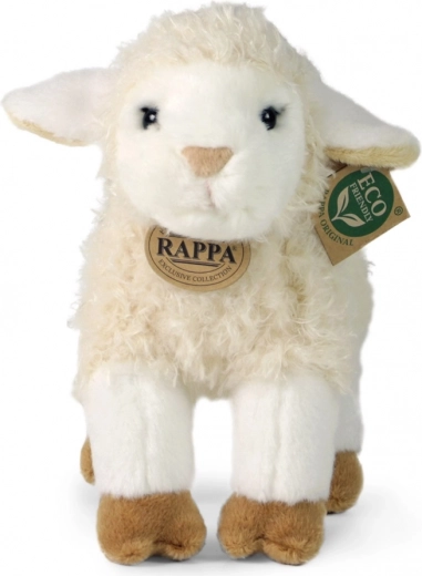 Exclusive RAPPA Collection