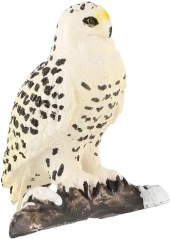 Ištikimos arktinio plėšrūno detalės