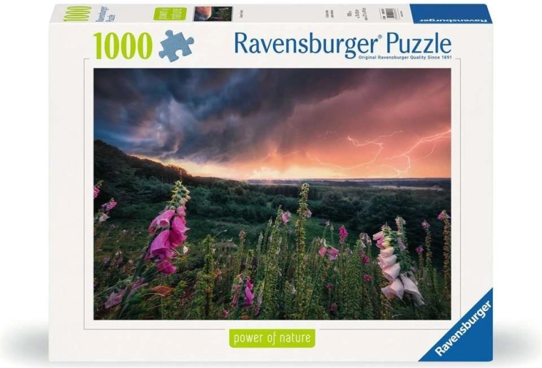 RAVENSBURGER kokybė nuo 1891 m.