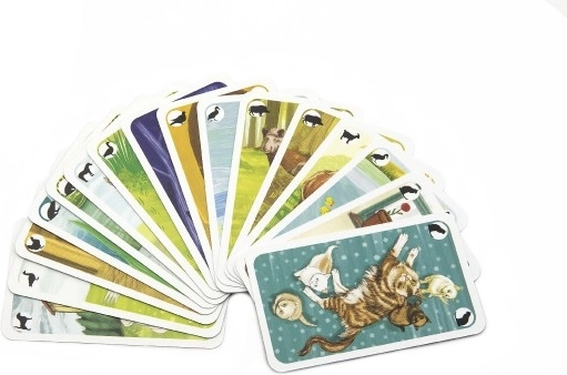 Gražios iliustracijos