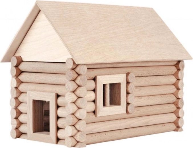 Surinkimas ir išrinkimas