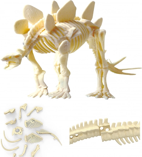 Surenk realistinį STEGOZAURO skeletą