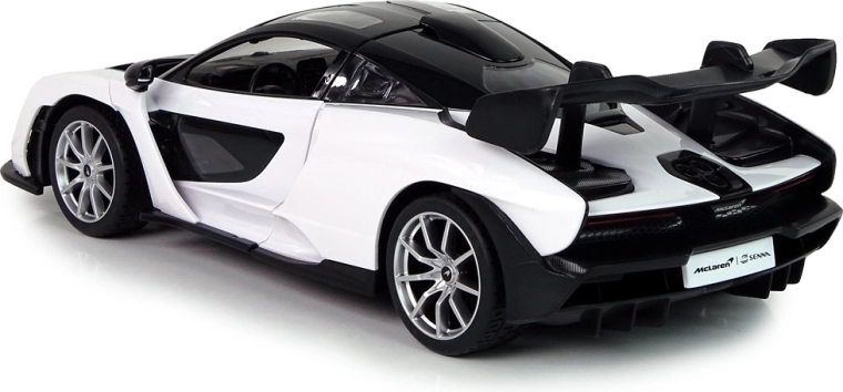 Detalus automobilio modelis