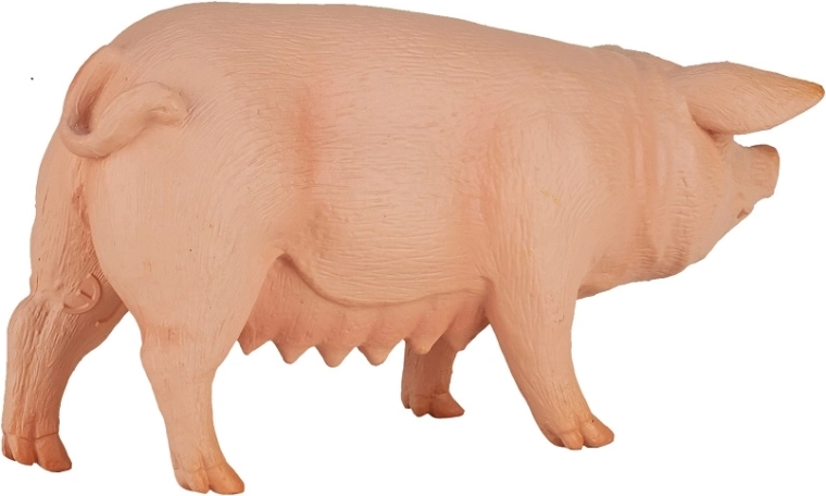 Puikiai tinka edukaciniams tikslams