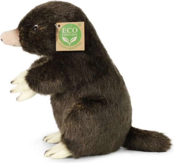 Saugumas – pirmiausia